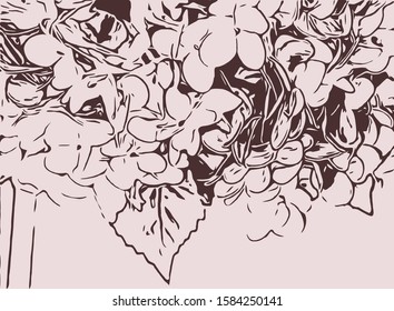 line drawing flower illustration. fashion bloom pattern.