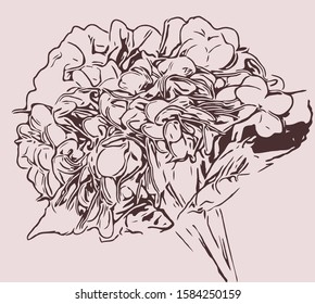 line drawing flower illustration. fashion bloom pattern.
