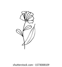 Line drawing flower, simple hand drawn vector illustration