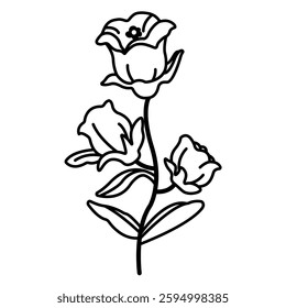 Line drawing of a flower with three blossoms at different stages of blooming, one main stem, and two leaves. Ideal for coloring pages or decorative elements.