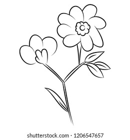 line drawing of flowers, nature, vector illustration.