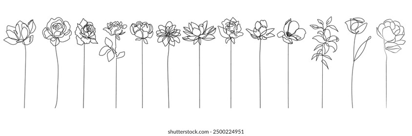 Line Drawing Flowers Set Black Sketch Isolated on White Background. Botanical Line Art of Wildflower Floral Drawing for Minimalist Wall Decor, Wall Art, Prints, Invitations. Vector EPS 10