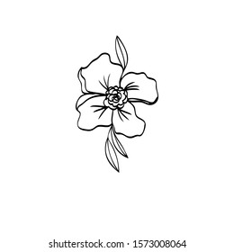 Line drawing flowers simple hand drawn vector illustration
