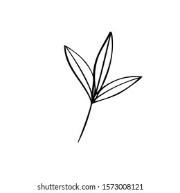 Line drawing flowers simple hand drawn vector illustration