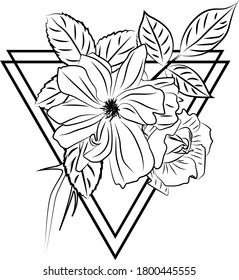 Juego de triángulo de floración de líneas
