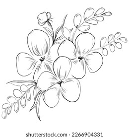 Line drawing flowers, wild flowers, hand drawn vector illustration.