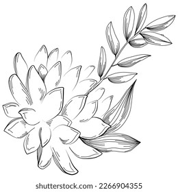 Line drawing flowers, wild flowers, hand drawn vector illustration.