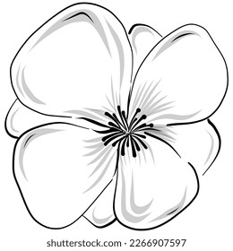 Line drawing flowers, wild flowers, hand drawn vector illustration.