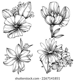 Line drawing flowers, wild flowers, hand drawn vector illustration.