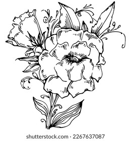 Line drawing flowers, wild flowers, hand drawn vector illustration.