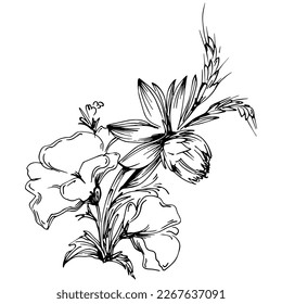 Line drawing flowers, wild flowers, hand drawn vector illustration.