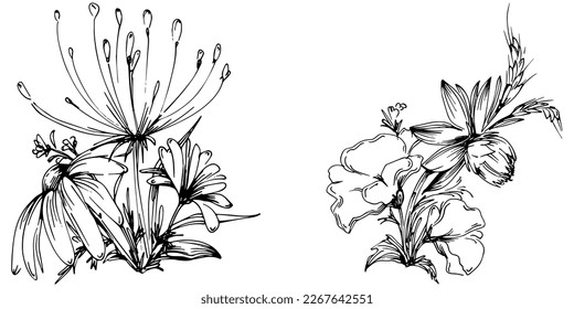 Line drawing flowers, wild flowers, hand drawn vector illustration.