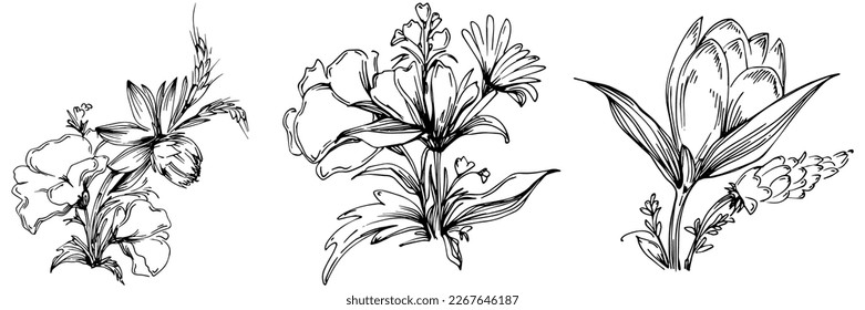 Flores de dibujo de líneas, flores silvestres, ilustración vectorial dibujada a mano.