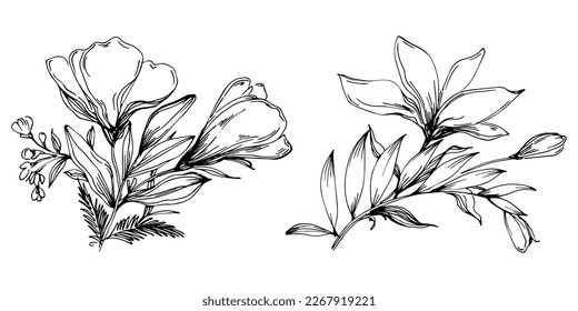 Line drawing flowers, wild flowers, hand drawn vector illustration.