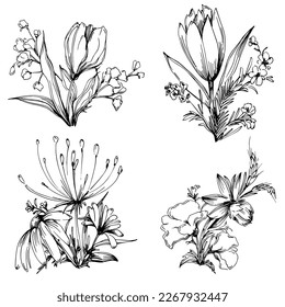Line drawing flowers, wild flowers, hand drawn vector illustration.