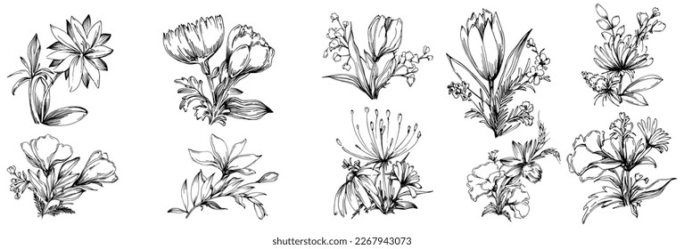 Flores de dibujo de líneas, flores silvestres, ilustración vectorial dibujada a mano.