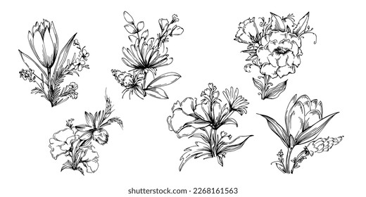 Line drawing flowers, wild flowers, hand drawn vector illustration.