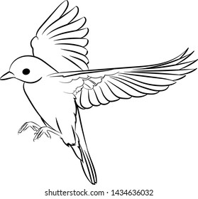 Line drawing. Flying little bird. Vector