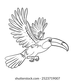 Desenho de linha de um toucan.Vetor voador ilustração isolada no fundo branco.Design bonito para a impressão de camisa, ícone, logotipo, etiqueta, patch ou adesivo.