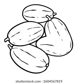 Line Drawing Of Four Oval-Shaped Dates Fruit