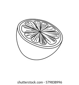 Line drawing fruit
