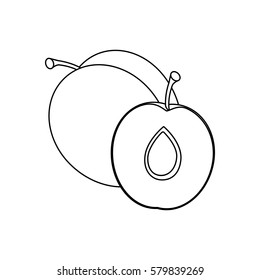 Line drawing fruit