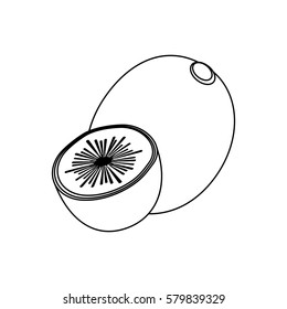 Line drawing fruit