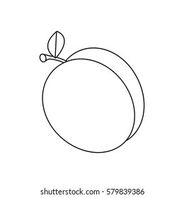 Line drawing fruit