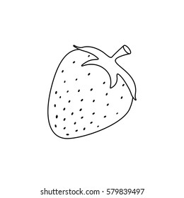 Line drawing fruit