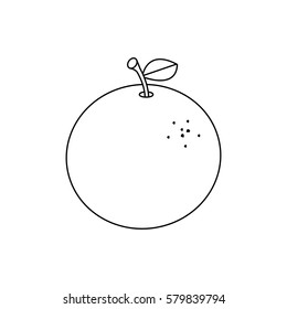 Line drawing fruit