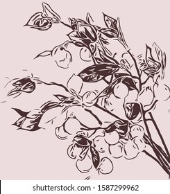 line drawing fruit illustration. black and white fashion seed pattern.