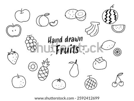 Line drawing fruit illustration set
