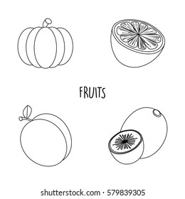 Line drawing fruits