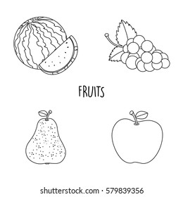 Line drawing fruits