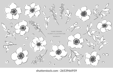 Desenho de linha da gérbera. Ilustração vetorial de flores e plantas. Quadro de ilustração de flor de planta colorido de verão.