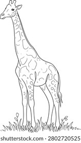 Line drawing of a giraffe in a natural grassy field setting