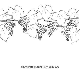 Dibujo en línea de uvas y vid