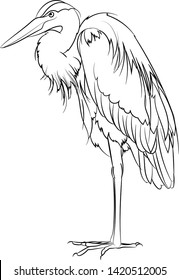 Line Drawing. Great Blue Heron. Vector