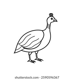 a line drawing of a guineafowl, a medium-sized bird with a distinctive feather pattern and a unique topknot on its head. The bird is standing in profile, showcasing its round body and long legs