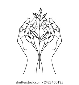 Line drawing of hands gently holding a sapling. Concept of growth, care, and environmental conservation. Vector illustration