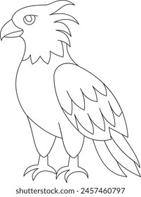 Line drawing. Harpy eagle (head profile). Vector illustration