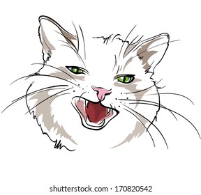 line drawing of the head cat, white background