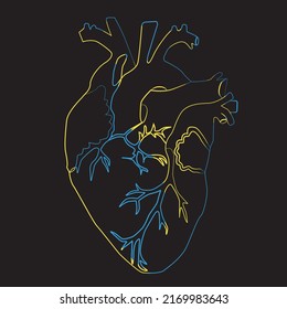 Line drawing of heart, vector illustration 