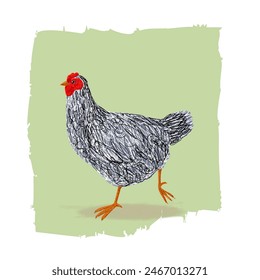 Línea de dibujo gallina, pollo en estilo de grabado vintage dibujado a mano Ilustración vectorial. Colección de animales de granja avícola.