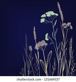 line drawing herbs at night