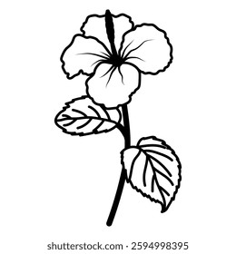 Line drawing of a hibiscus flower with five petals, a prominent stamen, and two veined leaves. Ideal for coloring pages, tattoo designs, or decorative elements.