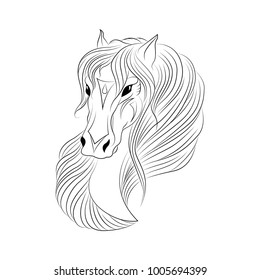 Line drawing of a horse head, vector illustration