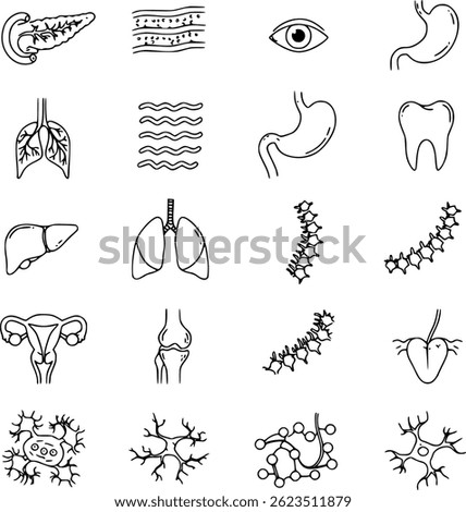 Line Drawing Human Organs Body Part Icons Set Silhouette Vector Design Royalty Free Images