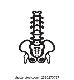 Line drawing of a human pelvis and spine.