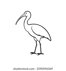 a line drawing of an ibis bird, characterized by its long, curved beak and slender legs. The bird stands upright, with its wings extended